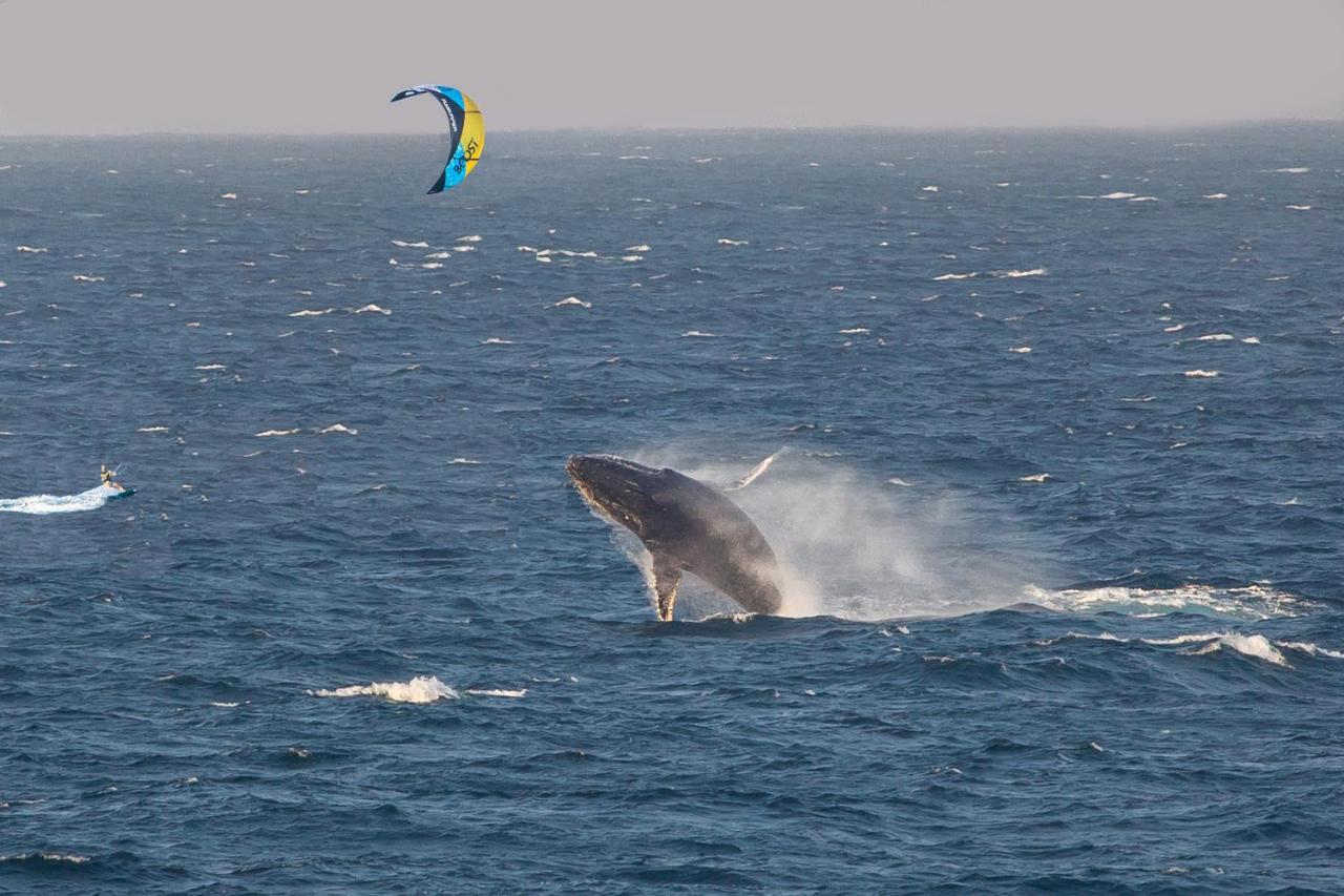 Kitesurf Tofo House Hostel Kültér fotó